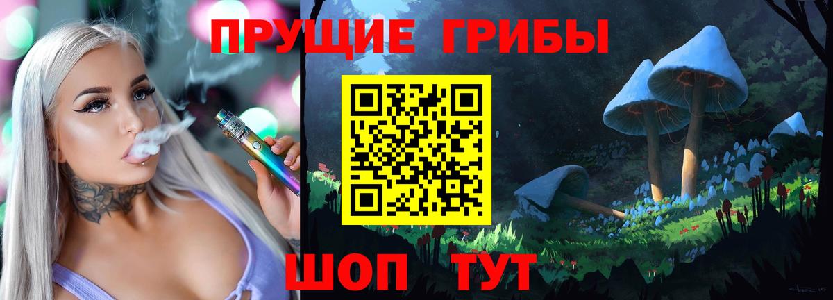 Псилоцибиновые грибы Psilocybe  Вход с VPN  Сорочинск 